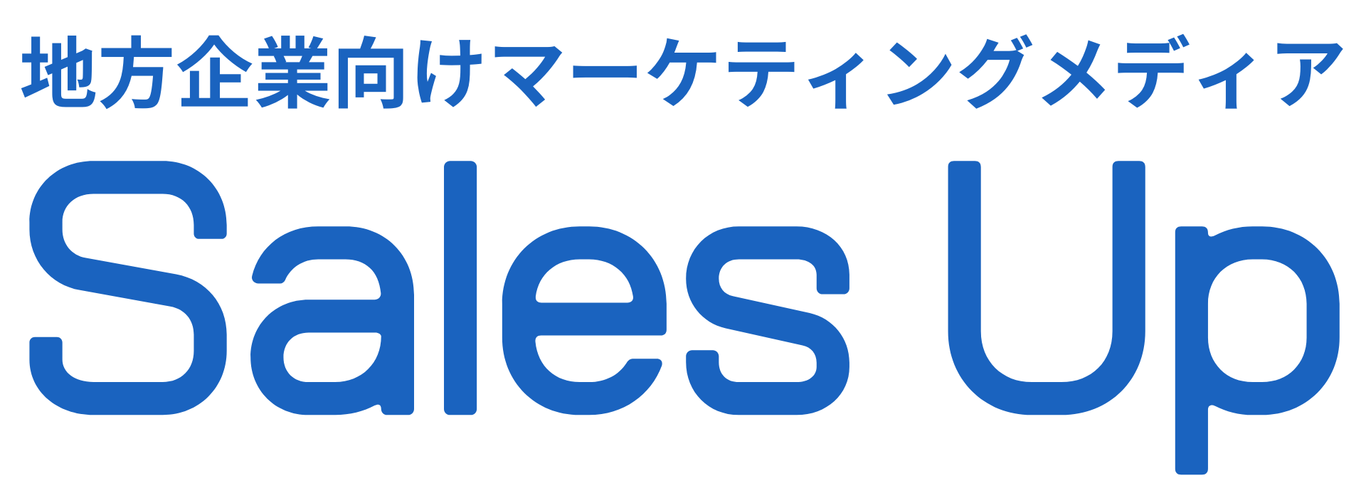 地方企業のマーケティングならセールスアップ｜福岡・愛媛・広島｜マーケティング｜SNS